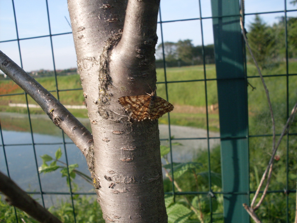 Richiesta Identificazione